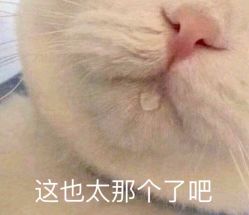 点击看大图 -YESIDO椰岛造型