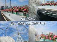 -锦江乐园