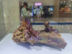 -湖南省地质博物馆