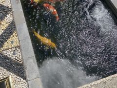 -西安市广仁寺