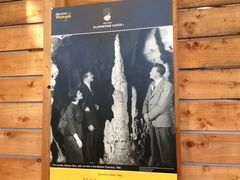 -怀托摩萤火虫洞