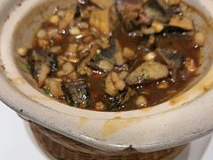 -同庆楼(金宝汇店)