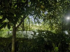 -思念果岭悦温泉