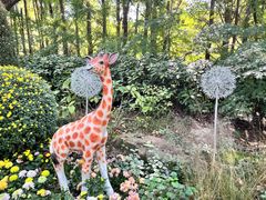 -上海共青森林公园