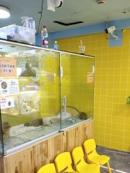 -神奇动物撸宠馆·羊驼·小浣熊·异宠(豫园店)