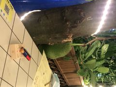 -文昌小老弟糟粕醋