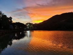 -广州凤凰城酒店-维也纳西餐厅