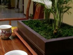 android_upload_pic-席仁堂推拿按摩脊柱调理(世纪科贸大厦店)