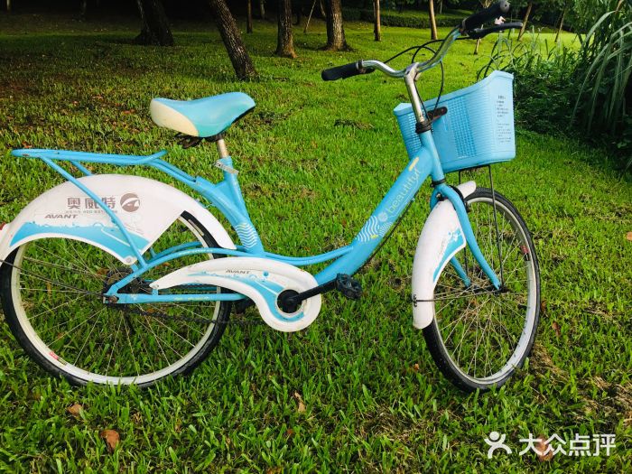 松山湖南湖湾露营营地图片
