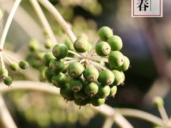 -赭山公园