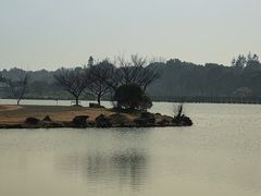 -上海海湾国家森林公园