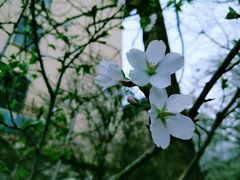 -山东师范大学(千佛山校区)