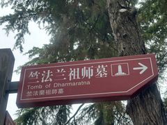 -洛阳白马寺