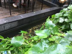 -外婆船宴餐厅·外婆喊你回家吃饭