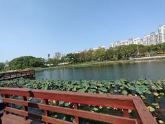 -新江湾城公园