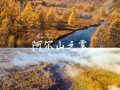 -清明上河园