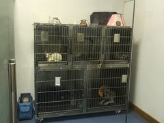 -宠颐生动物医院·小陆分院
