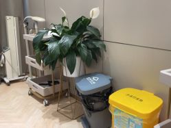 -杭州米兰柏羽医疗美容医院