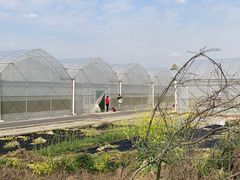 -广富林郊野公园