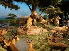 -国家自然博物馆