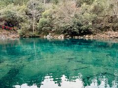 -石台牯牛降景区
