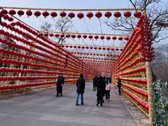 -北京凤凰岭