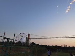 -花博汇(知音花月夜)