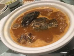 甲鱼煮饼-徐记海鲜(大雁塔|金都店)