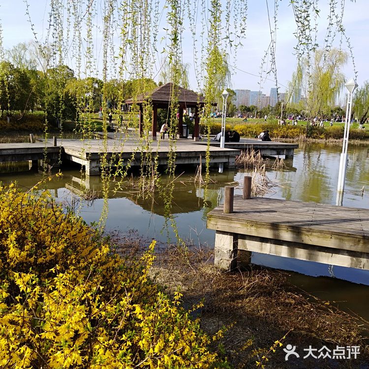 翡翠湖公园开放第一天， 阳光正好， 风轻云淡