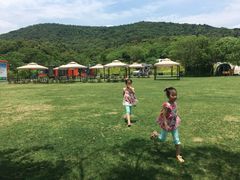 -汤山温泉房车营地 茶温泉