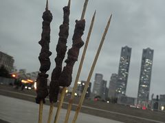 -秋水广场音乐喷泉