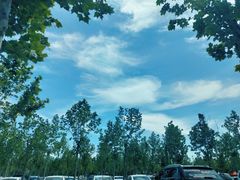 -石家庄市动物园