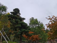 -刘伯温故里景区百丈漈