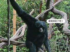 -红山森林动物园