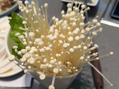 -椰小鸡·琼州糟粕醋·火锅(美兰缤纷城店)