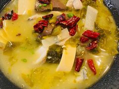 轩厨酸菜旺鱼-金鼎轩(亚运村店)