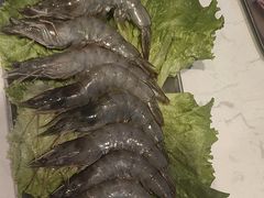 -杨记齐齐哈尔烤肉(总店)