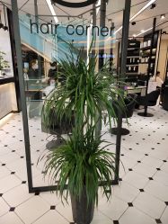 -HAIR CORNER