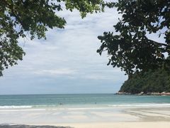 -绿中海度假村