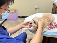 -美联众合动物医院·24h转诊中心