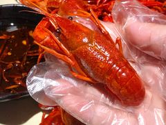 -巴厘龙虾·榜首油焖大虾(洞庭·艺术洋房店)