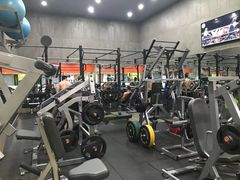 -健身专家Wellness Experts