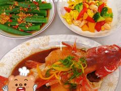 -悦芽照护月嫂+育儿嫂(杭州店)