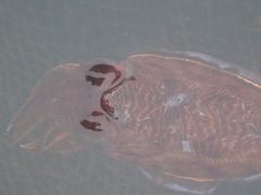 -海上驿站渔家菜馆