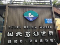 -贝壳梦幻世界
