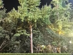 -华夏良子·足道SPA艾灸(铁道大厦店)