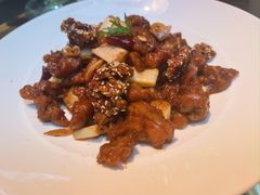 -北京老铺烤鸭(第五国际店)