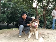 -四海公园(南山区)