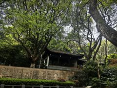 -杭州半山国家森林公园