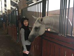 -上林马术中央公园·户外露营·团建·骑乘